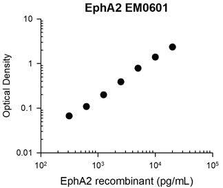 EphA2 Antibody (M060)