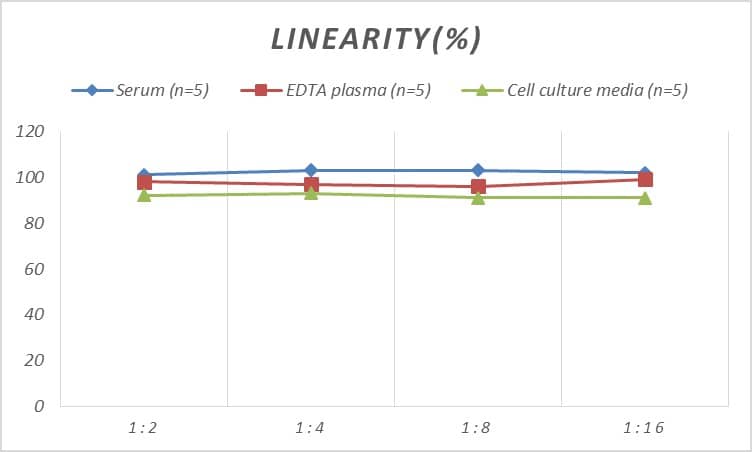 Monkey IgE ELISA Kit (Colorimetric)