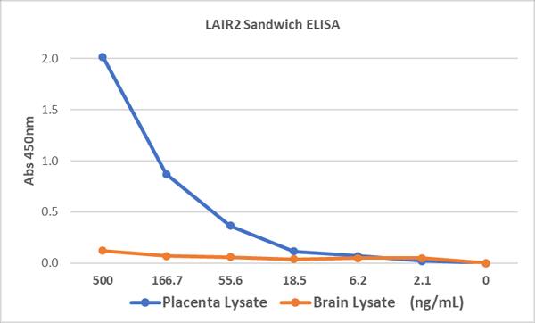 LAIR2 Antibody Pair [Biotin]