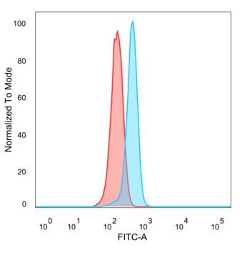 ZNF157 Antibody (PCRP-ZNF157-1A8)