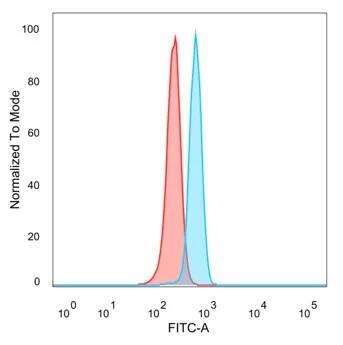ZNF232 Antibody (PCRP-ZNF232-1D5) Flow Cytometry: ZNF232 Antibody (PCRP-ZNF232-1D5) [NBP3-23599] -