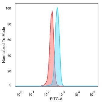 ZNF343 Antibody (PCRP-ZNF343-4F8)