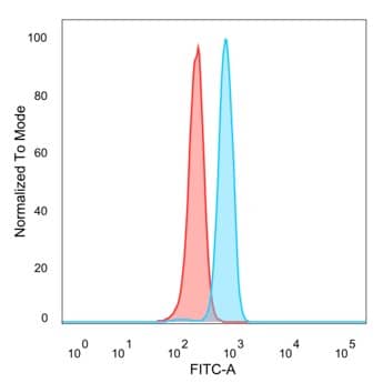 ZNF444 Antibody (PCRP-ZNF444-1E11)