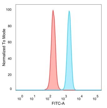 WTAP Antibody (PCRP-BATF3-1E5)