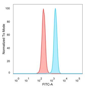 DBC1/p30 Antibody (PCRP-KIAA1967-1D10)