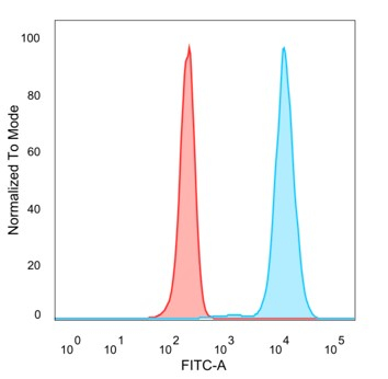 ZNF96 Antibody (PCRP-ZSCAN12-1A9)