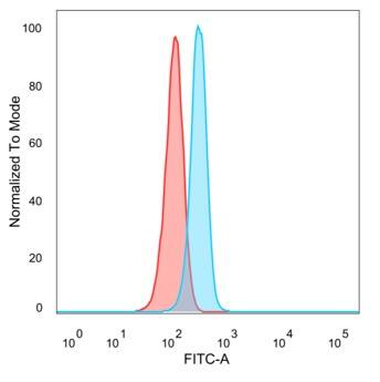 LDB2 Antibody (PCRP-LDB2-1B10)