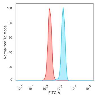 PCGF3 Antibody (PCRP-PCGF3-1D5)