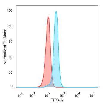 AIBZIP Antibody (PCRP-CREB3L4-1A3)