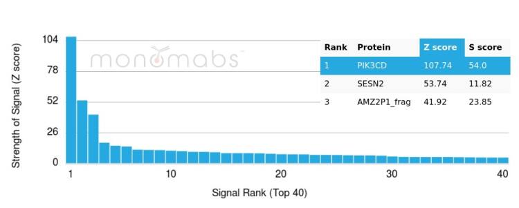 PI 3-Kinase p110 delta Antibody (PIK3CD/4639)
