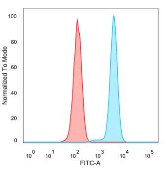 TFII-I Antibody (PCRP-RXRG-5C9)