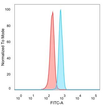 MZF1 Antibody (PCRP-MZF1-1E8)