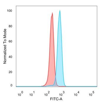 SOX22 Antibody (PCRP-SOX12-1E4)