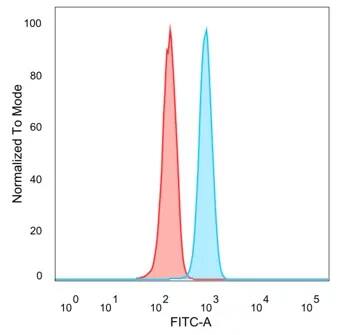 FOXI1 Antibody (PCRP-FOXI1-1C4) Flow Cytometry: FOXI1 Antibody (PCRP-FOXI1-1C4) [NBP3-23928] -