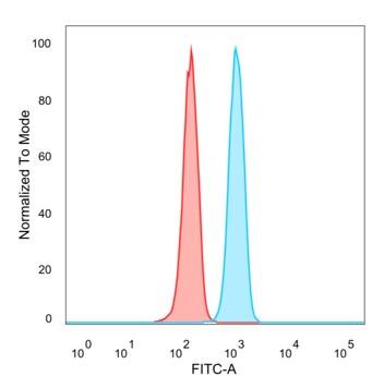 SNAPC4 Antibody (PCRP-SNAPC4-3A7)