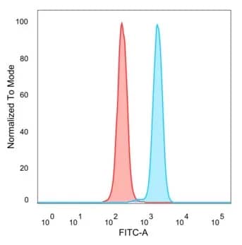 ZNF232 Antibody (PCRP-ZNF232-2B3) - Azide and BSA Free Flow Cytometry: ZNF232 Antibody (PCRP-ZNF232-2B3) - Azide and BSA Free [NBP3-24043] -