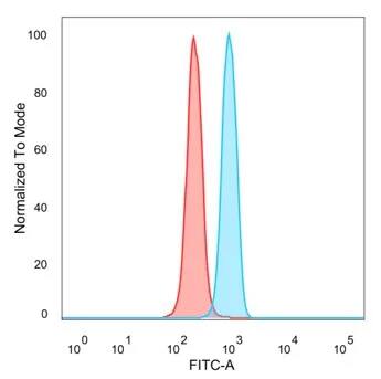 POGZ Antibody (PCRP-POGZ-1B2) - Azide and BSA Free Flow Cytometry: POGZ Antibody (PCRP-POGZ-1B2) - Azide and BSA Free [NBP3-24195] -