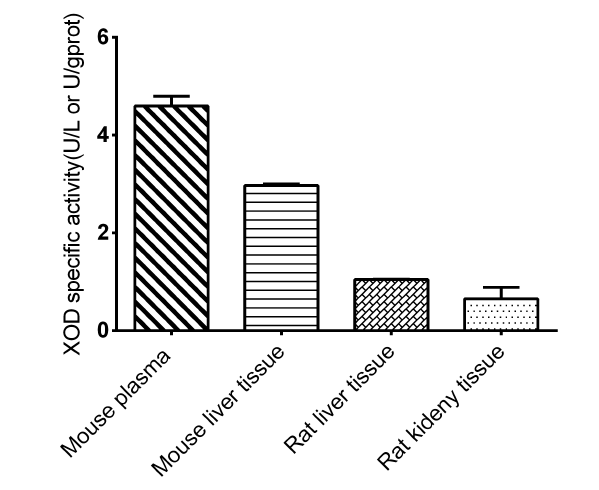 Xanthine Oxidase Activity Assay Kit (Colorimetric)
