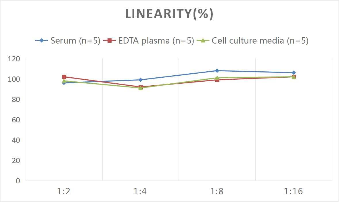 Mouse Defensin alpha 5 ELISA Kit (Chemiluminescence)