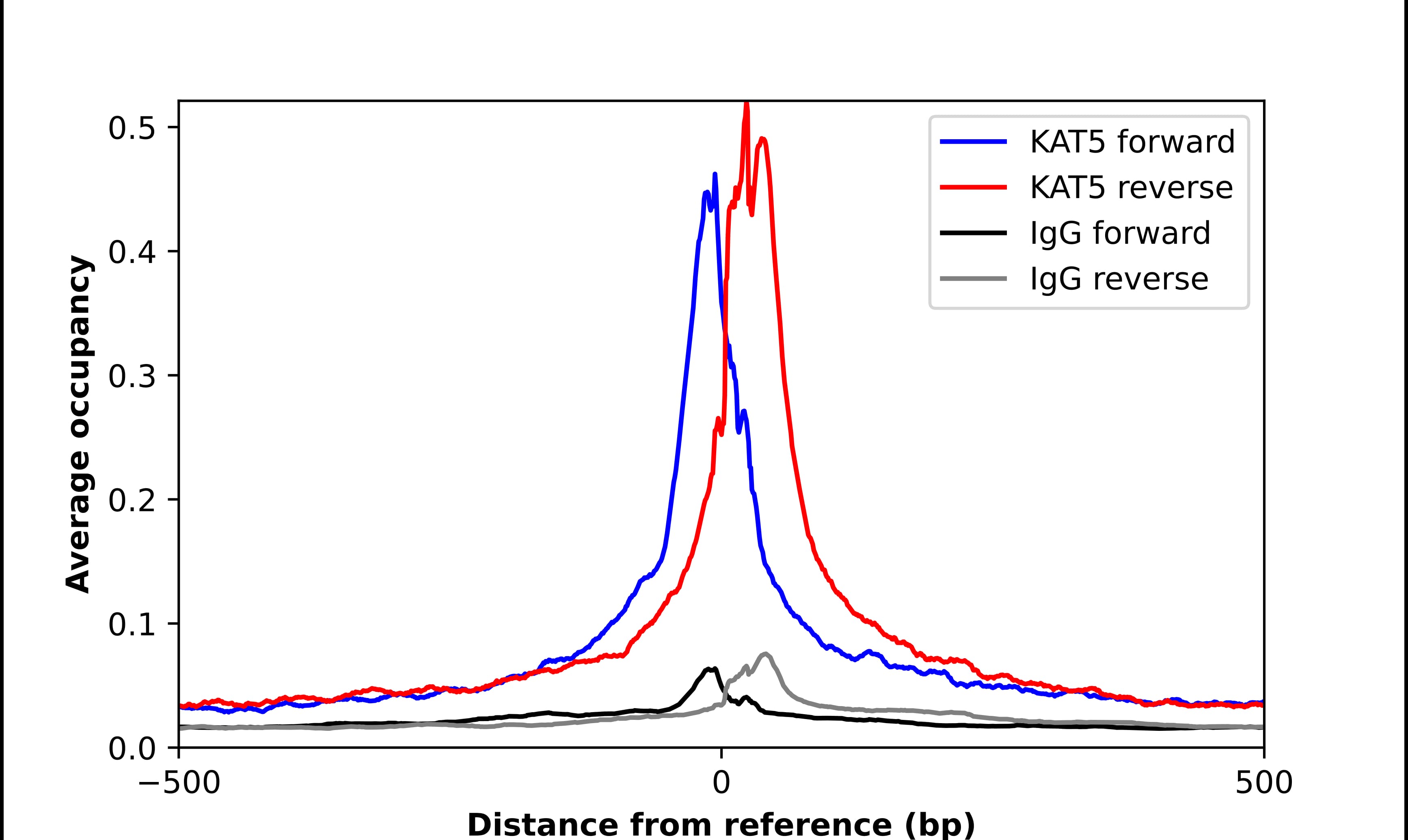 TIP60 Antibody - BSA Free Chromatin Immunoprecipitation-exo-Seq: TIP60 Antibody - BSA Free [NBP3-25195]