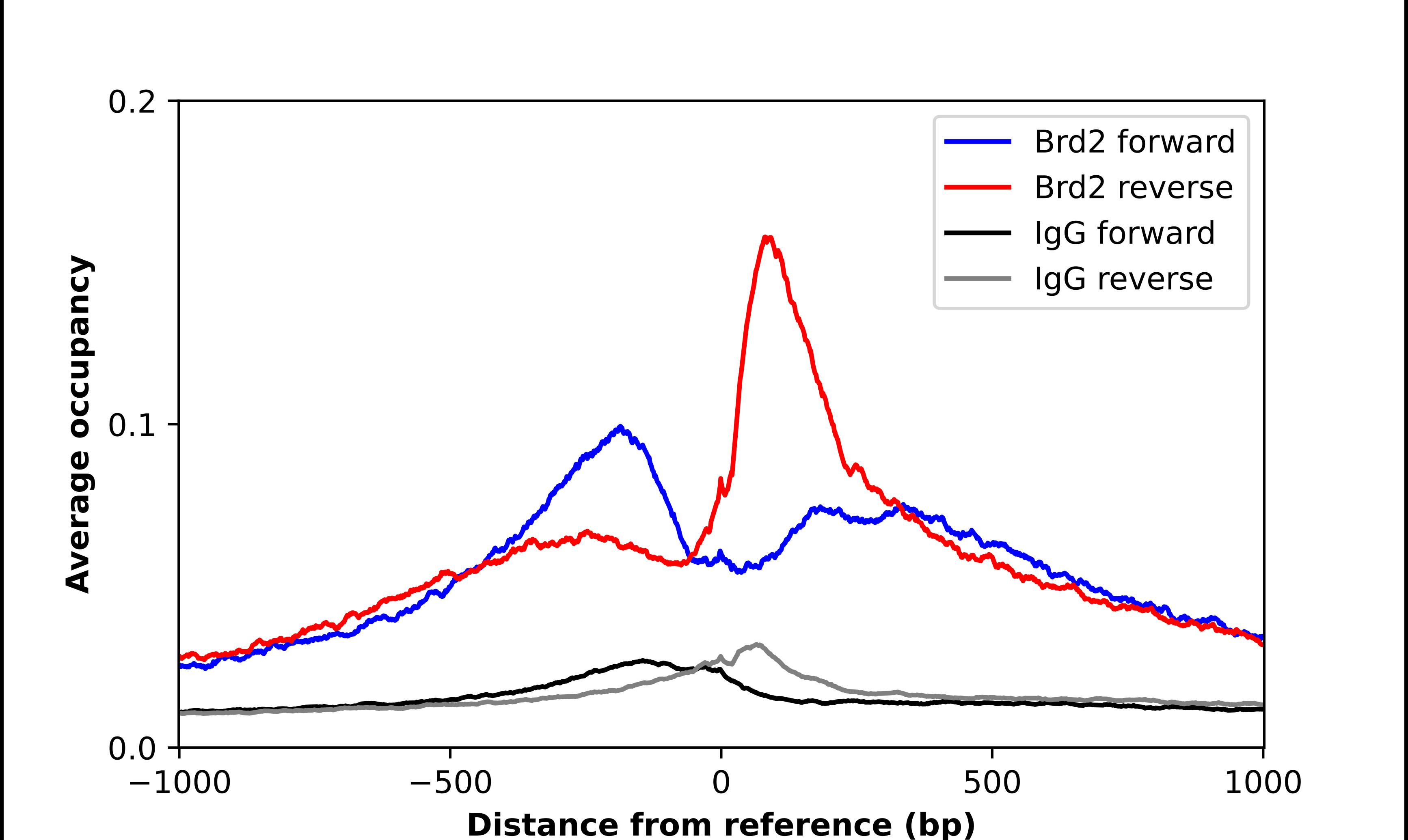 BRD2 Antibody - BSA Free Chromatin Immunoprecipitation-exo-Seq: BRD2 Antibody - BSA Free [NBP3-25302]