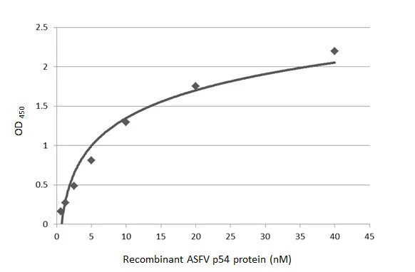 African Swine Fever Virus p54 Antibody (HL1219) - Azide and BSA Free