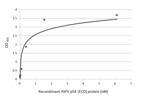 African Swine Fever Virus p54 Antibody (HL1286) - Azide and BSA Free
