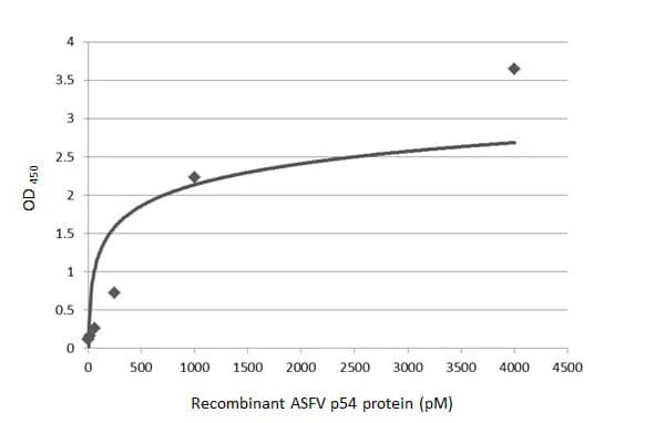 African Swine Fever Virus p54 Antibody (HL1289) - Azide and BSA Free
