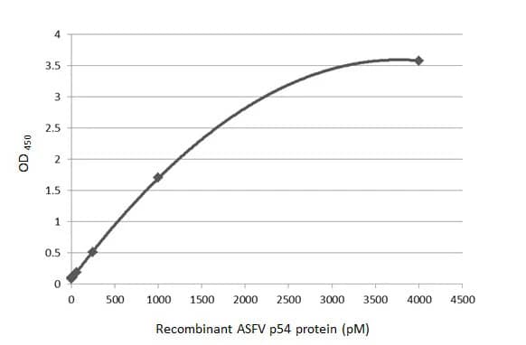 African Swine Fever Virus p54 Antibody (HL1289) - Azide and BSA Free