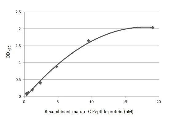 C-Peptide Antibody (HL1158) - Azide and BSA Free