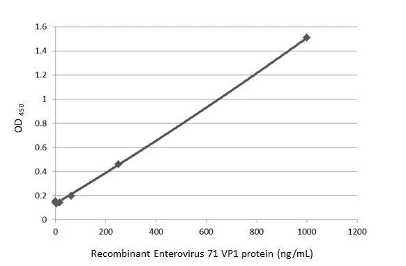 Enterovirus 71 VP1 Antibody (HL1928) - Azide and BSA Free