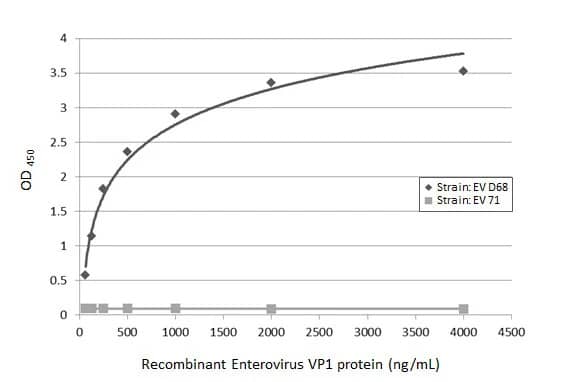 Enterovirus D68 VP1 Antibody (HL1997) - Azide and BSA Free