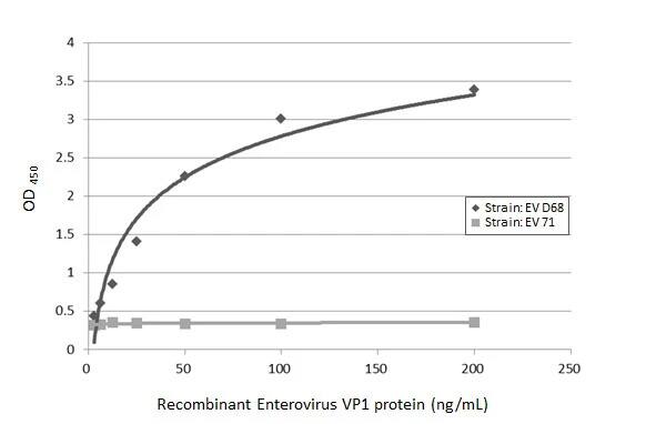 Enterovirus D68 VP1 Antibody (HL1997) - Azide and BSA Free