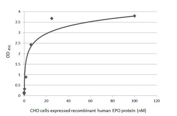 Erythropoietin/EPO Antibody (HL1794) - Azide and BSA Free
