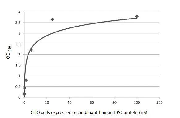 Erythropoietin/EPO Antibody (HL1794) - Azide and BSA Free