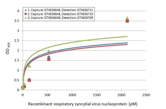 Respiratory Syncytial Virus Nucleoprotein Antibody (HL1296) - Azide and BSA Free