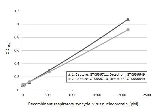 Respiratory Syncytial Virus Nucleoprotein Antibody (HL1296) - Azide and BSA Free