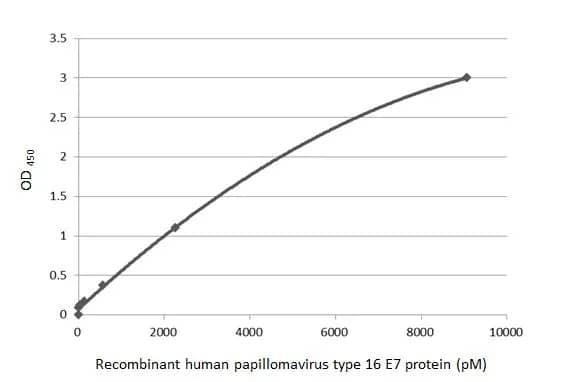 HPV16 E7 Antibody (HL1647) - Azide and BSA Free