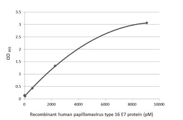 HPV16 E7 Antibody (HL1647) - Azide and BSA Free