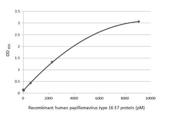 HPV16 E7 Antibody (HL1821) - Azide and BSA Free