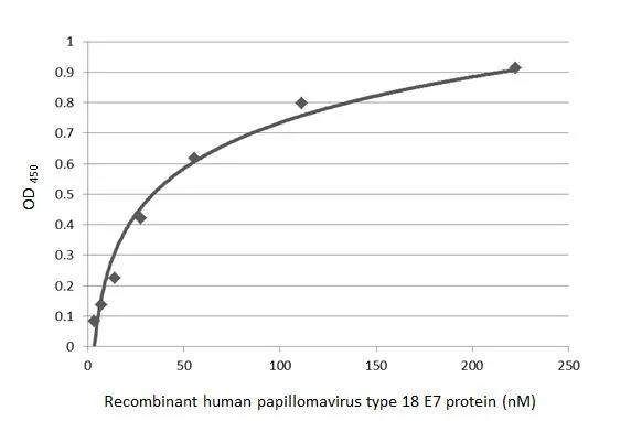HPV18 E7 Antibody (HL2522) - Azide and BSA Free