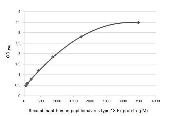 HPV18 E7 Antibody (HL2522) - Azide and BSA Free