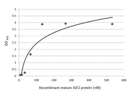 IGF-II/IGF2 Antibody (HL1982) - Azide and BSA Free