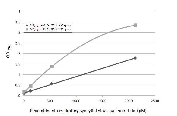 Respiratory Syncytial Virus Nucleoprotein Antibody (HL1245) - Azide and BSA Free