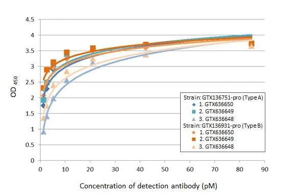 Respiratory Syncytial Virus Nucleoprotein Antibody (HL1246) - Azide and BSA Free