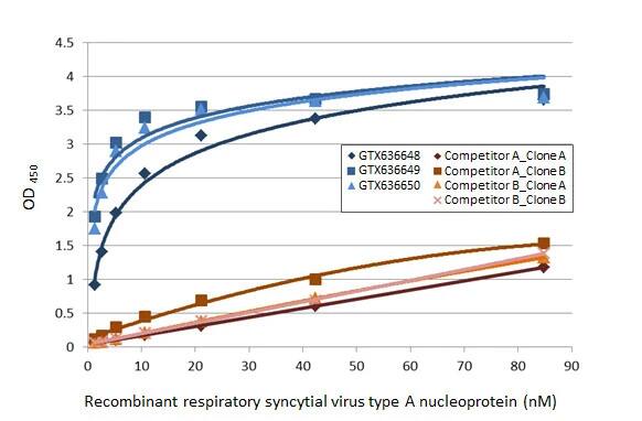 Respiratory Syncytial Virus Nucleoprotein Antibody (HL1246) - Azide and BSA Free