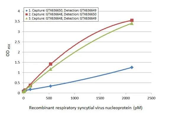 Respiratory Syncytial Virus Nucleoprotein Antibody (HL1246) - Azide and BSA Free