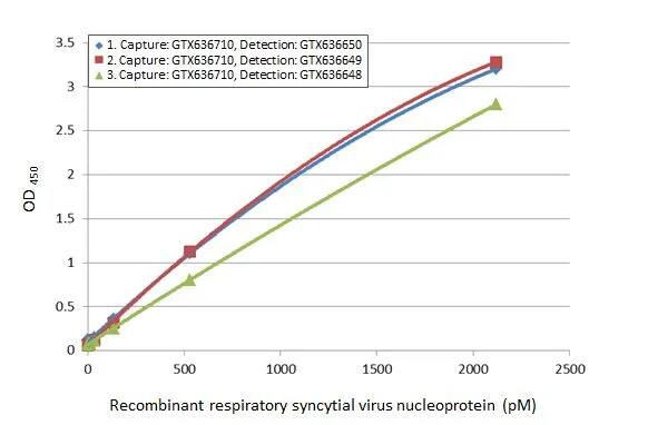 Respiratory Syncytial Virus Nucleoprotein Antibody (HL1246) - Azide and BSA Free