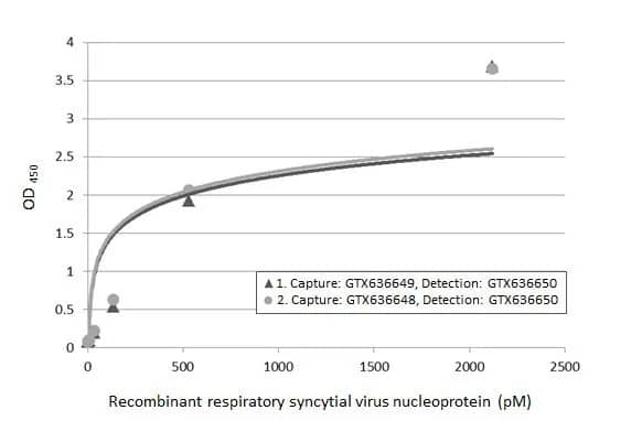 Respiratory Syncytial Virus Nucleoprotein Antibody (HL1246) - Azide and BSA Free