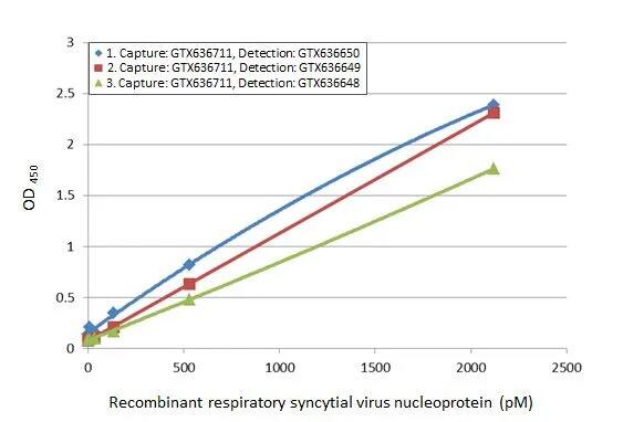 Respiratory Syncytial Virus Nucleoprotein Antibody (HL1247) - Azide and BSA Free